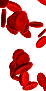Hematología