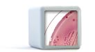 Carpeta microbiología